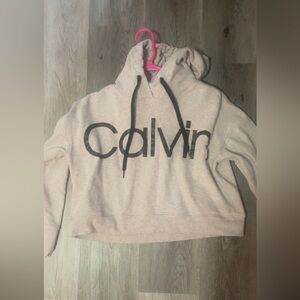 Calvin Klein Women's Tan Hoodie Sweater